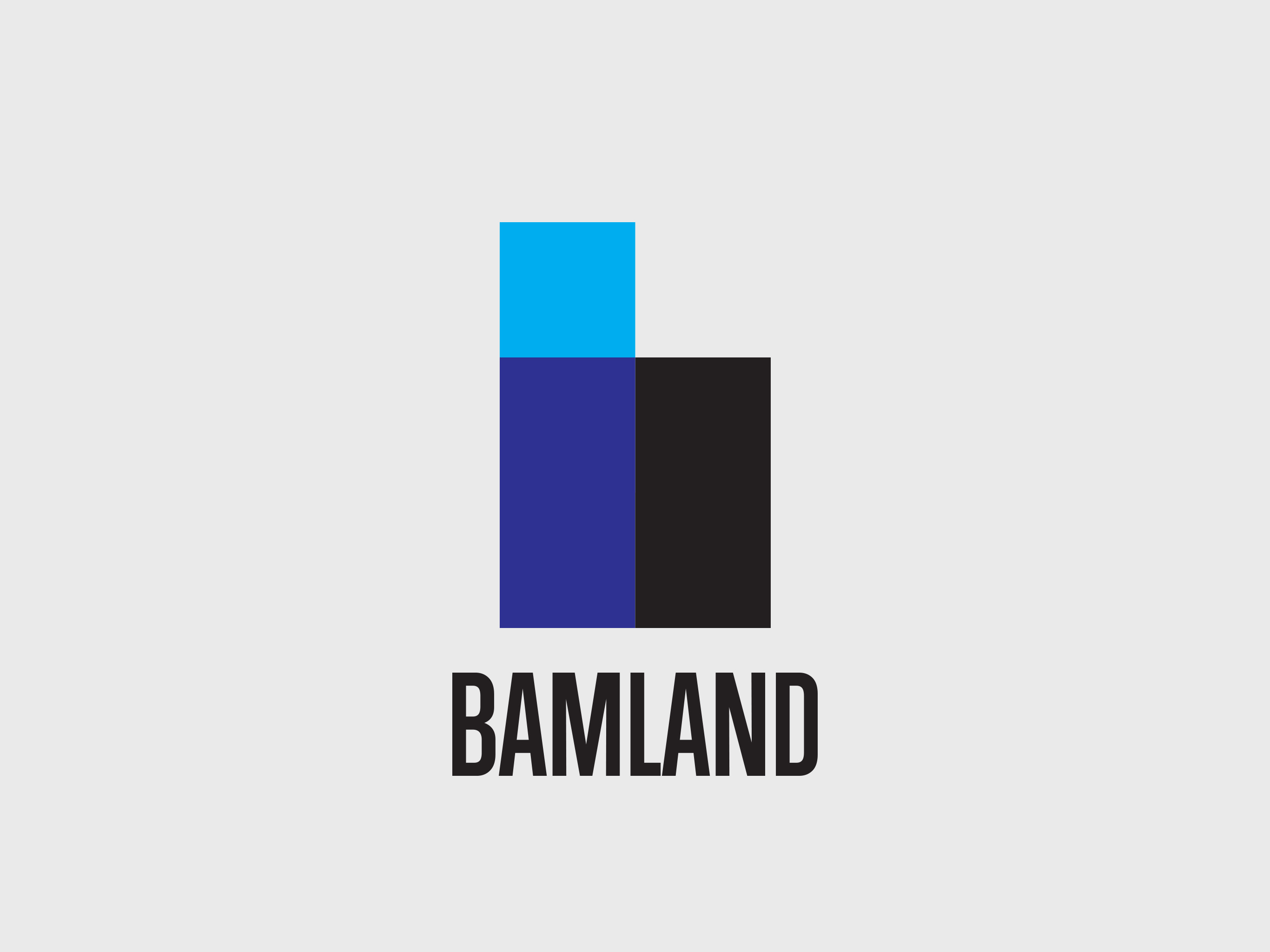 Bamland Main Logo